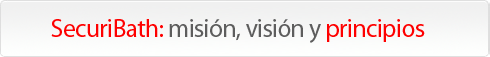 mision-vision-principios1