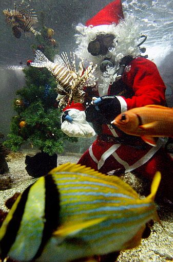 Papa Noel bajo el agua