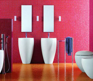 Imagen del día: Un baño de pelos!