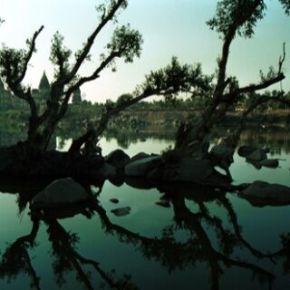 Hay que ahorrar agua. ¿Te duchas conmigo “cariño”…?