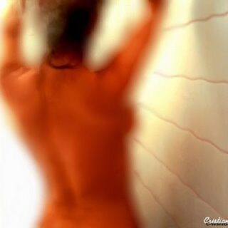 La última moda para el baño: mini-ducha para el wc