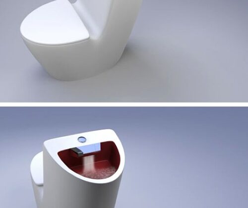 Baño ecológico