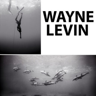 Revestimiento de madera