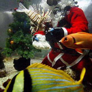 Roca Barcelona Gallery, incomparable escenario para la presentación de Novedades 2010 de Roca.