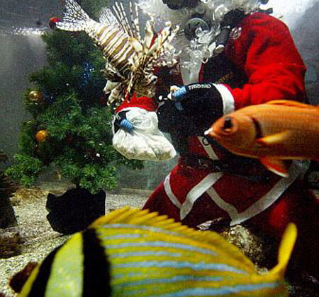 Papa Noel bajo el agua