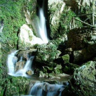 Puravida de Hansgrohe