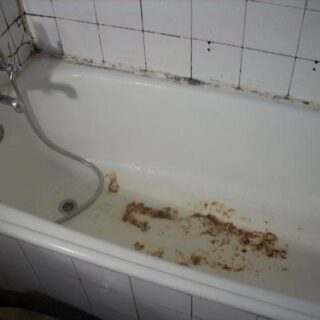 Insisto: cantemos bajo la ducha