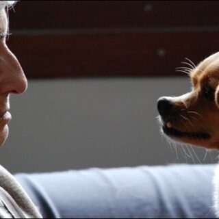 Plato de ducha por bañera