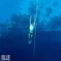 La apnea: un arriesgado deporte bajo el agua