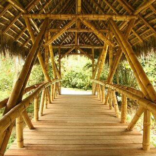 Franco Ceccotti: baños que vuelven a lo natural