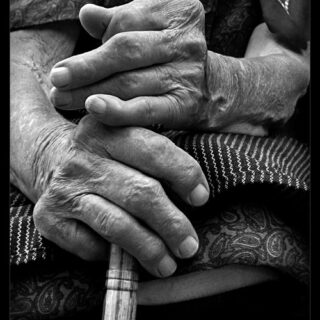 Platos de ducha en todos los colores