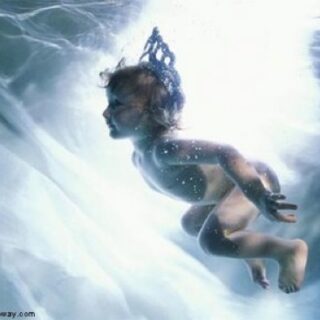 Waterstone de Pom D’Or: el baño zen