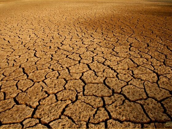 Ahorro de agua en el Día Mundial del Agua
