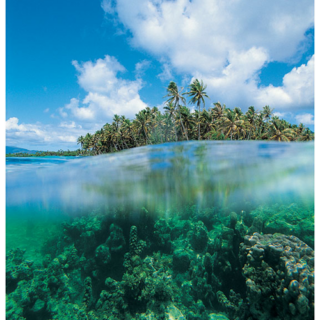 Moda baño Fatou Kebé: África exótica