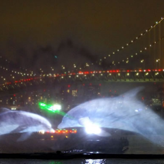 Peterssen and Keller