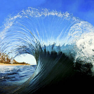 Colección M de Wetstyle