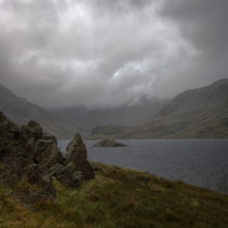 Plantas nómadas para descontaminar el agua