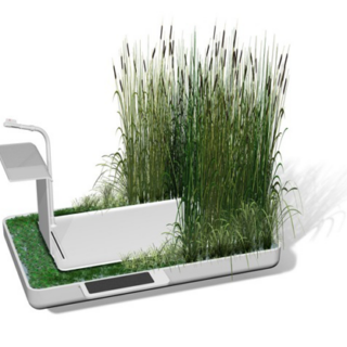 Moda baño solidaria en Zamora