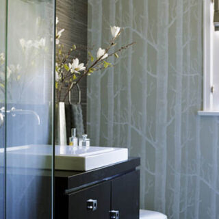 Cambiar la bañera por una ducha, un regalo 10