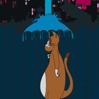 Pequeños espacios grandes soluciones