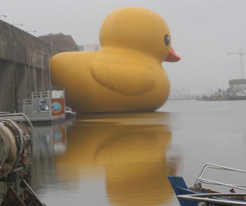¡Mi nueva ducha es gigante!