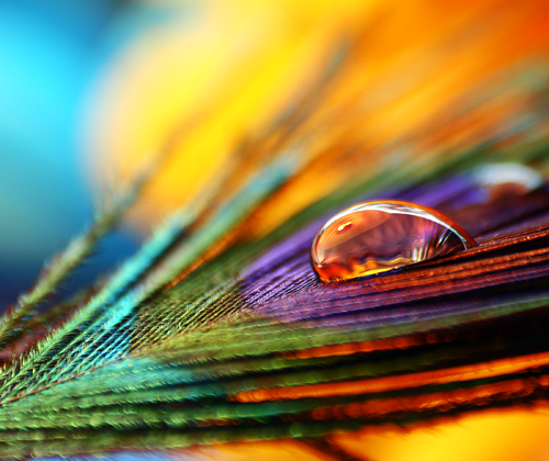 Macro agua