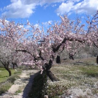 Aqvaplana, panel de ducha de madera