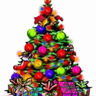 Belleza y funcionalidad