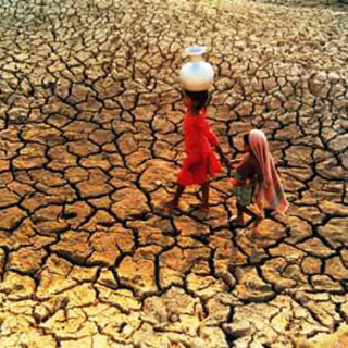 Investigación al servicio de tu plato de ducha