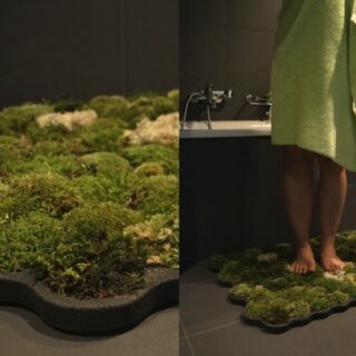 Grifo de oro y piezas de Swarovski