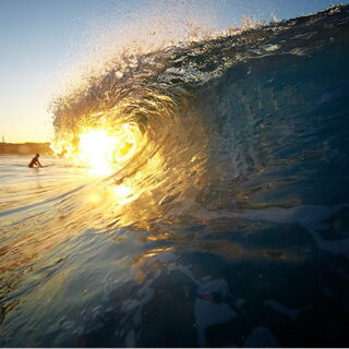El universo subacuático en fotografías
