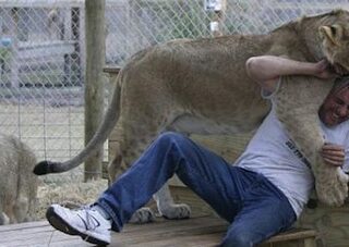 Baños comunitarios femeninos para evitar colas