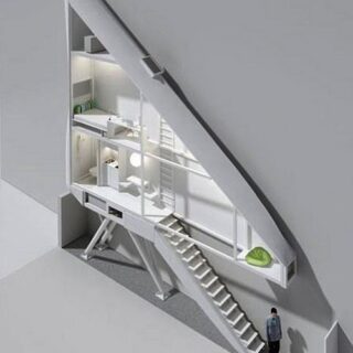 El lavabo cefalópodo