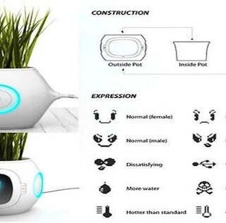 Lánzate a la cocina a través de fáciles recetas