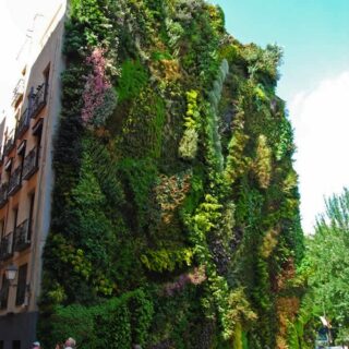 Curiosidades, ¿por qué se arrugan los dedos en el agua?