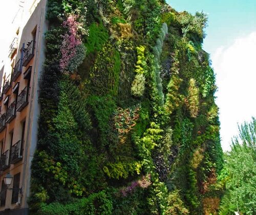 Edificios con jardines vegetales ¿el futuro de las ciudades?