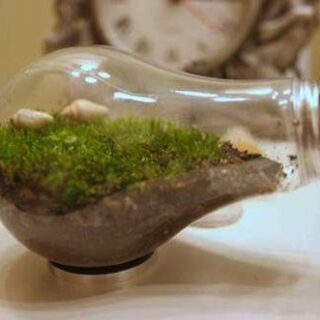 Convertir bombillas recicladas en un elemento decorativo