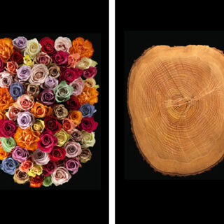 Estilo italiano en piezas únicas para el baño