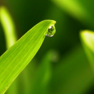 Accesibilidad en tu hogar