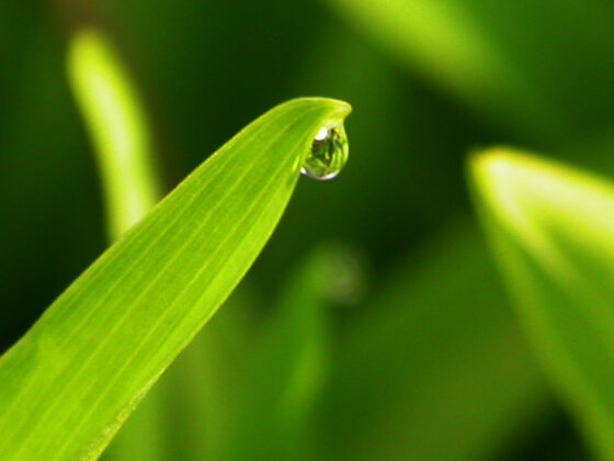Primavera, momento de cambio: ¡pásate a la ducha!