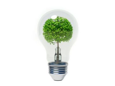 Día Mundial de la eficiencia energética