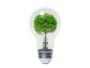 Día Mundial de la eficiencia energética