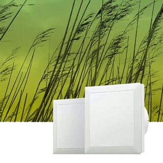 Concienciación en el Día Mundial de la Esclerosis Múltiple