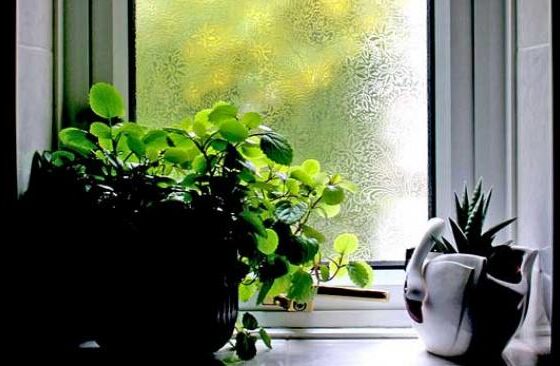 La importancia de la ventilación en el baño