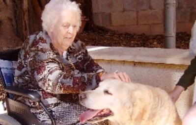 perro-terapia-ancianos
