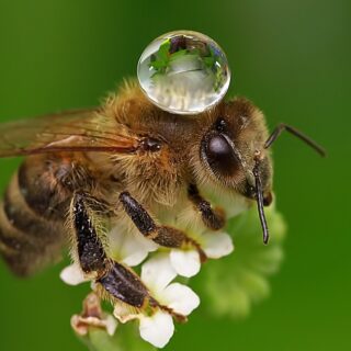 Curiosidades sobre el wc en la época romana