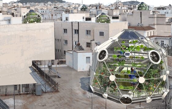 Huertos urbanos en azoteas el futuro cada día más cerca