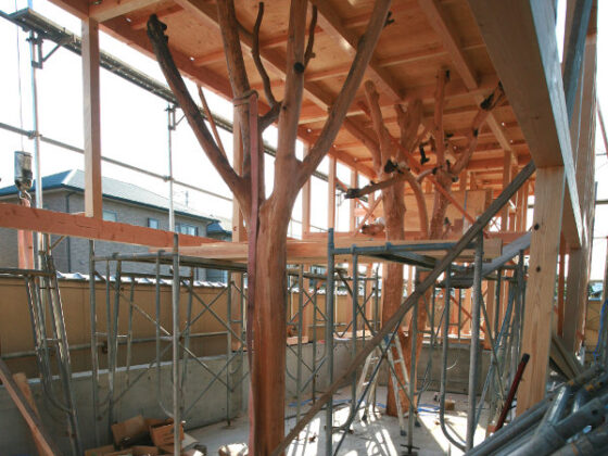 Japón: una casa con árboles dentro