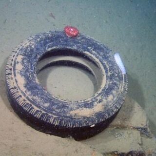 Un accesorio para colocar las copas de vino en el lavaplatos