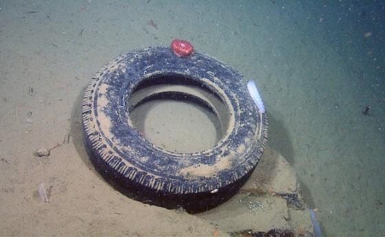 El fondo marino está convirtiéndose en un vertedero